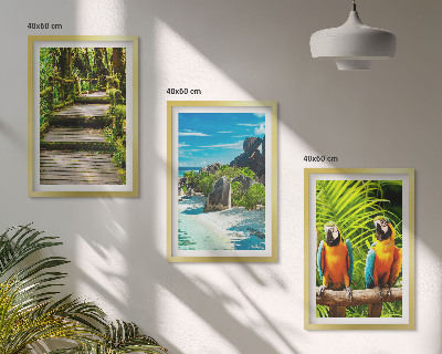 Cadre photo mural Cascade de perroquets de la forêt tropicale