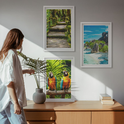 Cadre photo mural Cascade de perroquets de la forêt tropicale