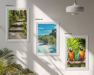 Cadre photo mural Cascade de perroquets de la forêt tropicale