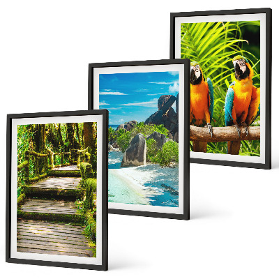 Cadre photo mural Cascade de perroquets de la forêt tropicale