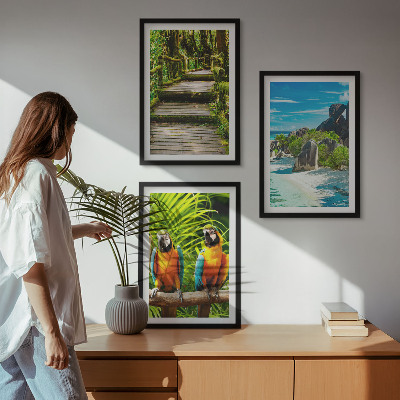 Cadre photo mural Cascade de perroquets de la forêt tropicale