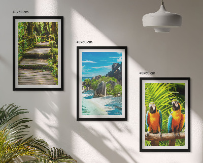 Cadre photo mural Cascade de perroquets de la forêt tropicale