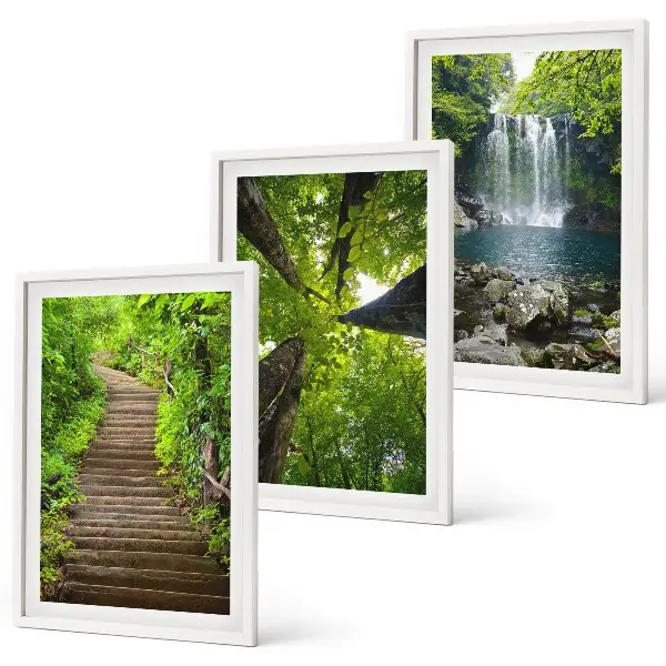 Lot de 3 tableaux pour salon motif sentier forestier avec cascade et végétation
