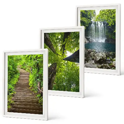 Lot de 3 tableaux pour salon motif sentier forestier avec cascade et végétation