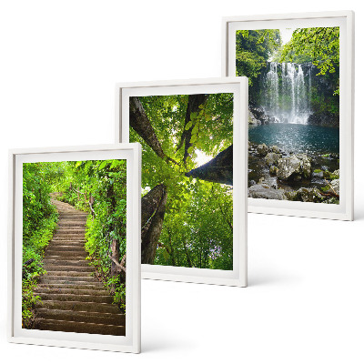 Lot de 3 tableaux pour salon Sentier forestier cascade végétation