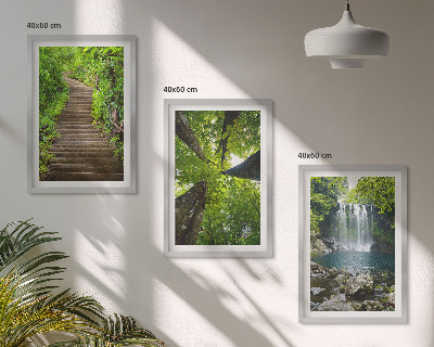 Lot de 3 tableaux pour salon Sentier forestier cascade végétation