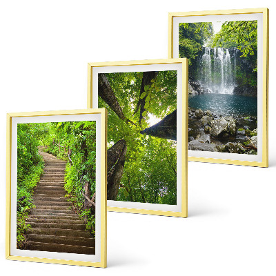 Lot de 3 tableaux pour salon Sentier forestier cascade végétation