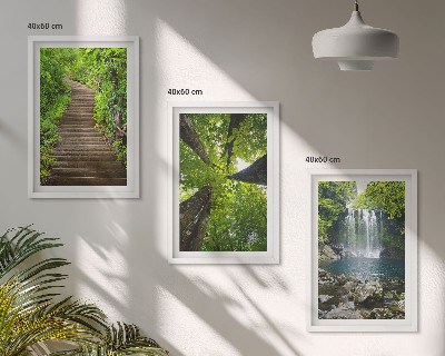 Lot de 3 tableaux pour salon Sentier forestier cascade végétation
