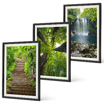 Lot de 3 tableaux pour salon Sentier forestier cascade végétation