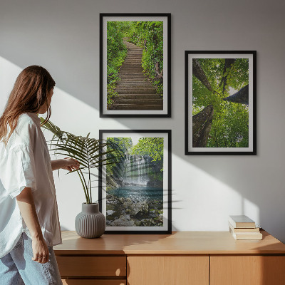 Lot de 3 tableaux pour salon Sentier forestier cascade végétation