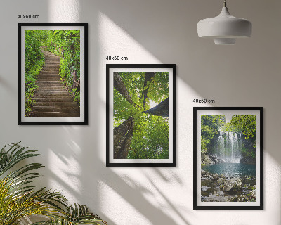 Lot de 3 tableaux pour salon Sentier forestier cascade végétation