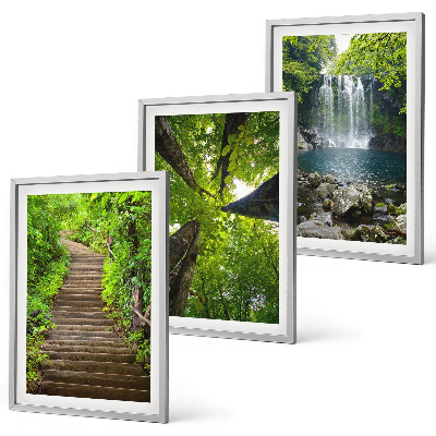Lot de 3 tableaux pour salon Sentier forestier cascade végétation
