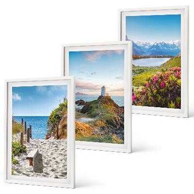 Lot de 3 tableaux pour salon Plage, phare, montagnes, fleurs