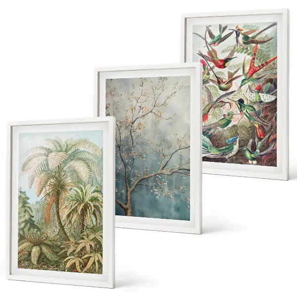 Lot de 3 tableaux pour salon avec motifs de plantes tropicales et oiseaux dans la nature