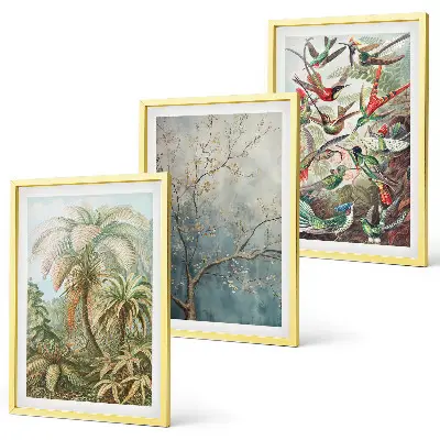 Lot de 3 tableaux pour salon avec motifs de plantes tropicales et oiseaux dans la nature
