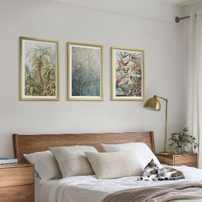 Lot de 3 tableaux pour salon Plantes tropicales, oiseaux, nature