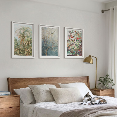 Lot de 3 tableaux pour salon Plantes tropicales, oiseaux, nature