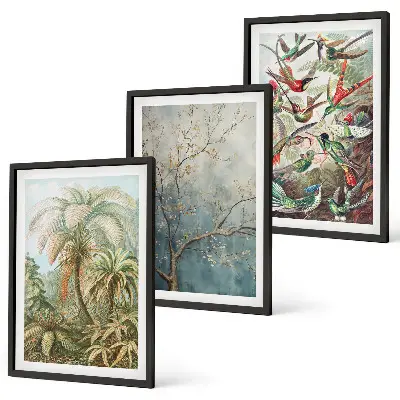 Lot de 3 tableaux pour salon avec motifs de plantes tropicales et oiseaux dans la nature