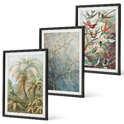 Lot de 3 tableaux pour salon Plantes tropicales, oiseaux, nature