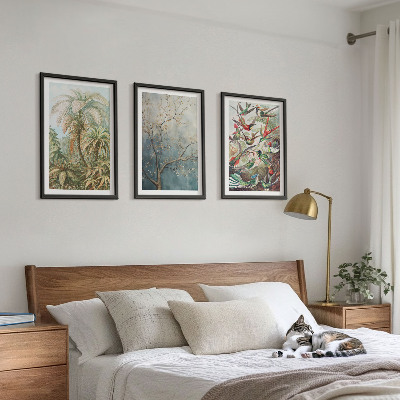 Lot de 3 tableaux pour salon Plantes tropicales, oiseaux, nature