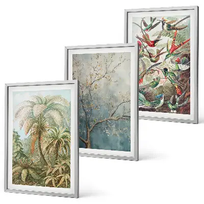 Lot de 3 tableaux pour salon avec motifs de plantes tropicales et oiseaux dans la nature