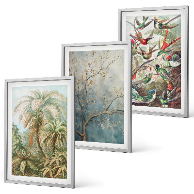 Lot de 3 tableaux pour salon Plantes tropicales, oiseaux, nature