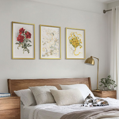 Lot de 3 tableaux pour salon Roses rouges et blanches