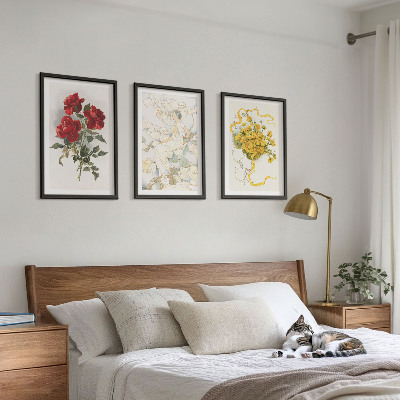 Lot de 3 tableaux pour salon Roses rouges et blanches