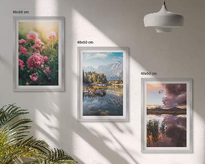 Cadre photo mural Jardin de fleurs, montagnes, eau