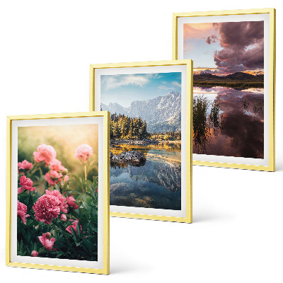 Cadre photo mural Jardin de fleurs, montagnes, eau