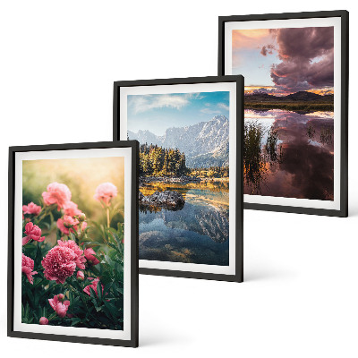 Cadre photo mural Jardin de fleurs, montagnes, eau