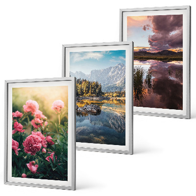 Cadre photo mural Jardin de fleurs, montagnes, eau