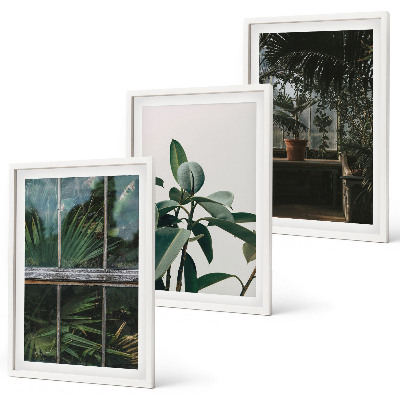 Cadre photo mural Feuilles vertes sur la plante de fenêtre