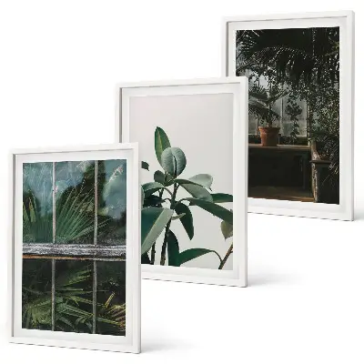 Cadre photo mural feuilles vertes sur plant de fenêtre