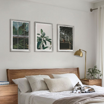 Cadre photo mural Feuilles vertes sur la plante de fenêtre