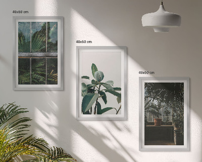 Cadre photo mural Feuilles vertes sur la plante de fenêtre