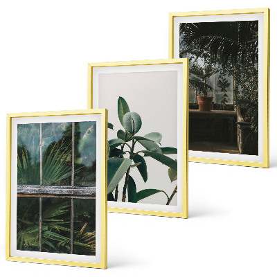 Cadre photo mural Feuilles vertes sur la plante de fenêtre