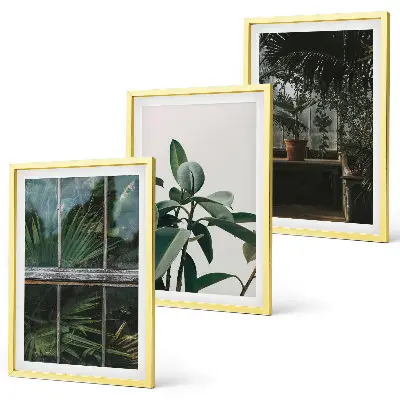 Cadre photo mural feuilles vertes sur plant de fenêtre