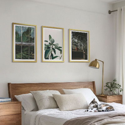 Cadre photo mural Feuilles vertes sur la plante de fenêtre