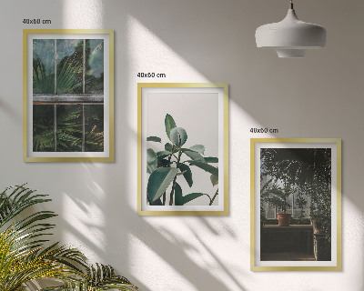 Cadre photo mural Feuilles vertes sur la plante de fenêtre