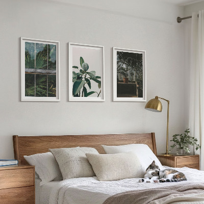 Cadre photo mural Feuilles vertes sur la plante de fenêtre