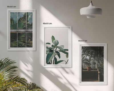 Cadre photo mural Feuilles vertes sur la plante de fenêtre
