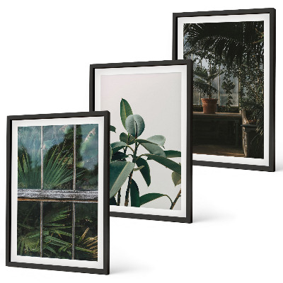 Cadre photo mural Feuilles vertes sur la plante de fenêtre