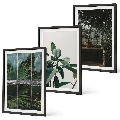 Cadre photo mural feuilles vertes sur plant de fenêtre