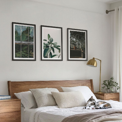 Cadre photo mural Feuilles vertes sur la plante de fenêtre