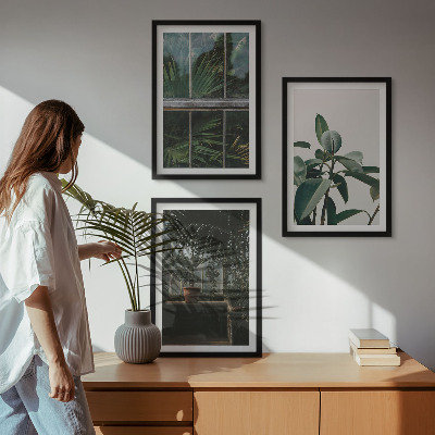 Cadre photo mural Feuilles vertes sur la plante de fenêtre