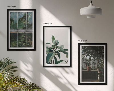 Cadre photo mural Feuilles vertes sur la plante de fenêtre