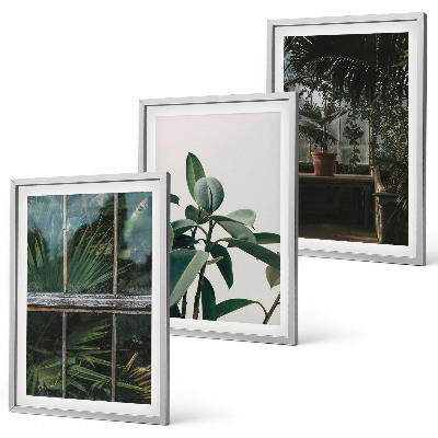 Cadre photo mural Feuilles vertes sur la plante de fenêtre