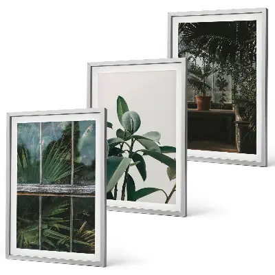 Cadre photo mural feuilles vertes sur plant de fenêtre