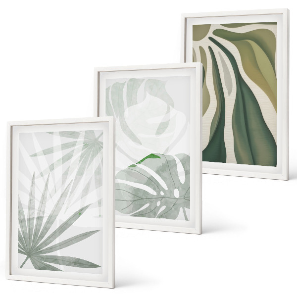 Cadre photo mural Feuilles de plantes vertes et grises
